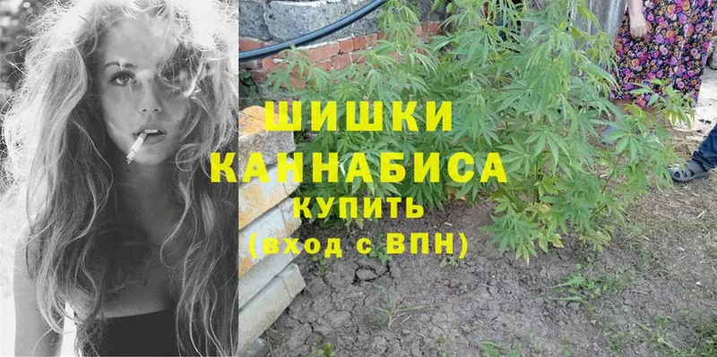 Конопля LSD WEED  даркнет сайт  Заволжье 